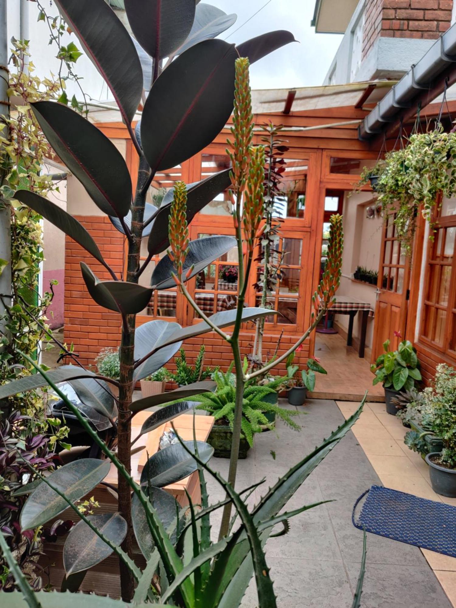 Carnation Rest Hotel Nuwara Eliya Luaran gambar