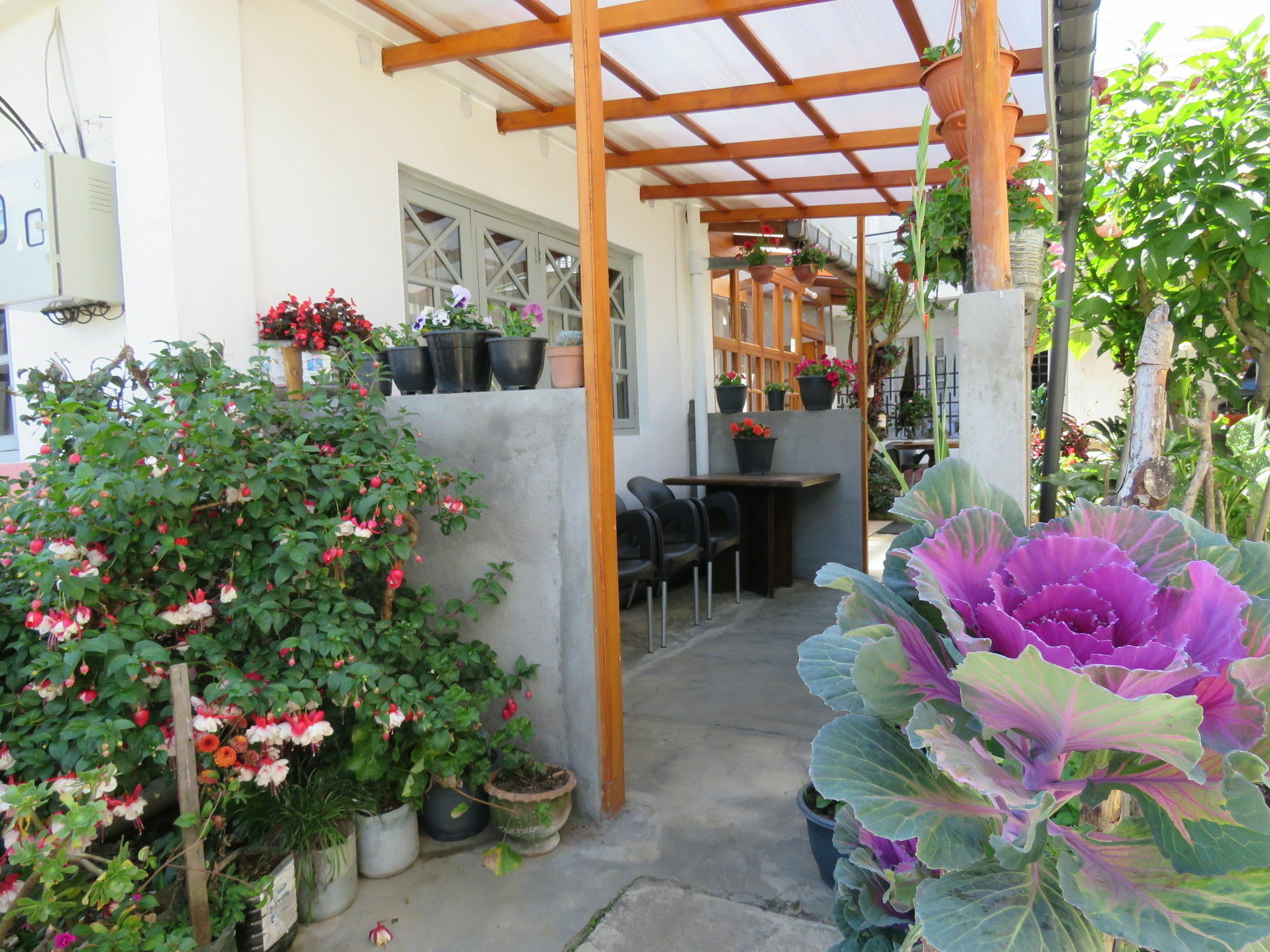 Carnation Rest Hotel Nuwara Eliya Luaran gambar